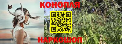 дмт Лесосибирск
