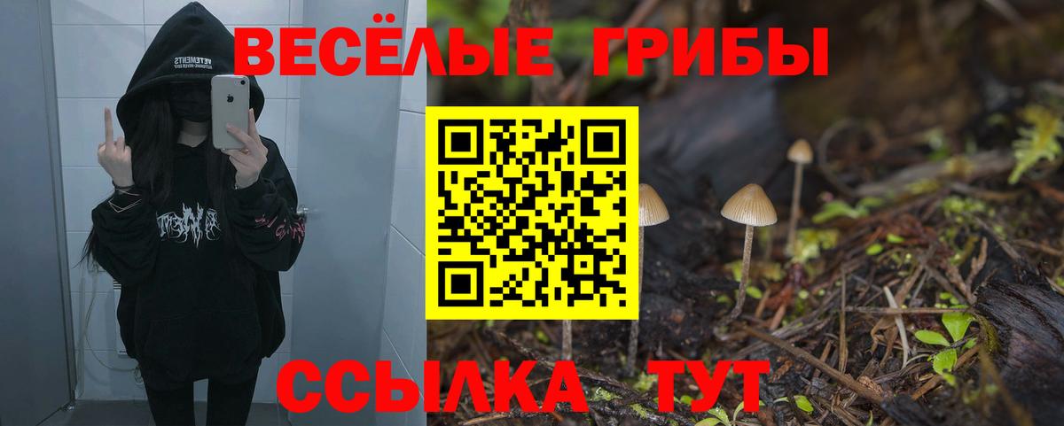 Галлюциногенные грибы прущие грибы  Вход с VPN  Черняховск 